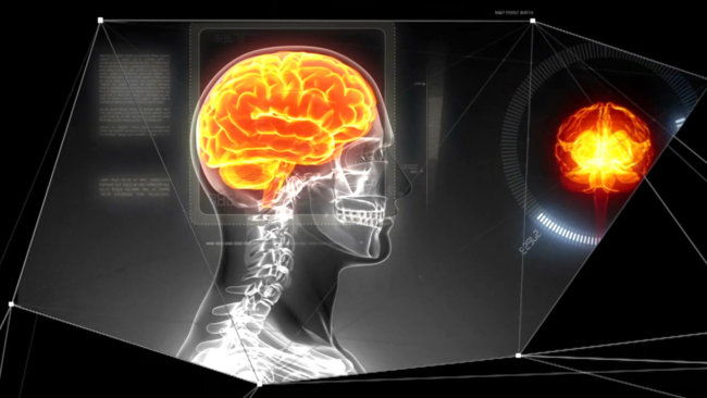 Human Brain Project: «ноев ковчег» разума. Фото.