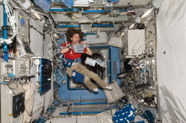 Сердца космонавтов в условиях невесомости принимают форму шара. Фото.