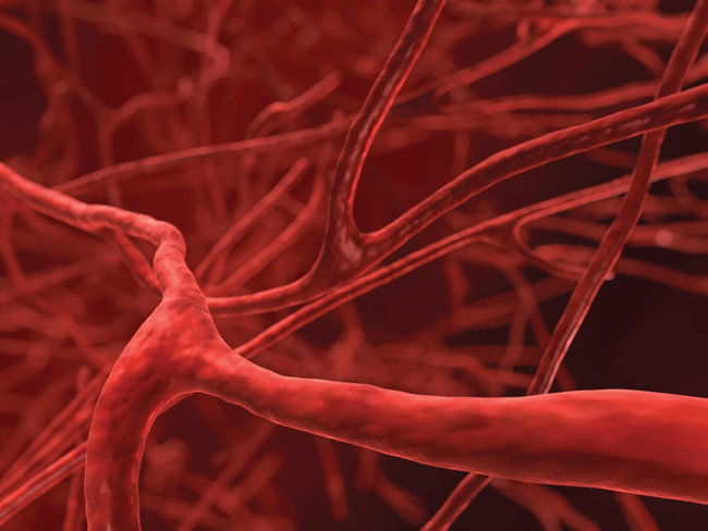 Учёные научились создавать кровеносные сосуды с помощью 3D-печати. Фото.