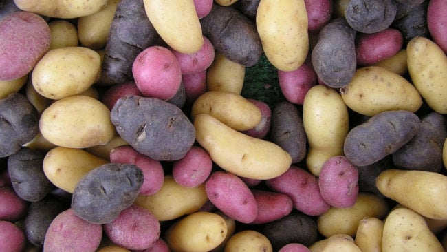 #биология | 5 мифов о вреде картошки. Фото.