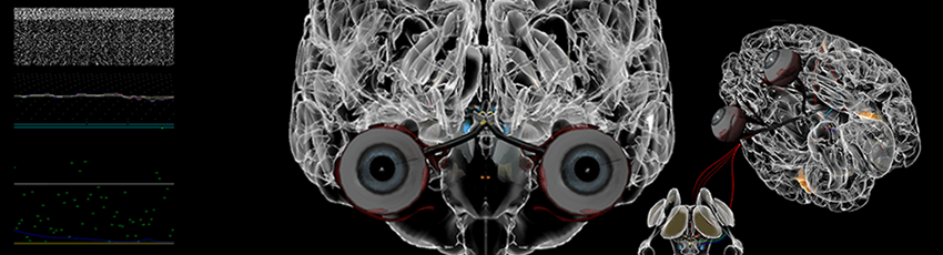 Baby X – виртуальный ребёнок, способный к самообучению