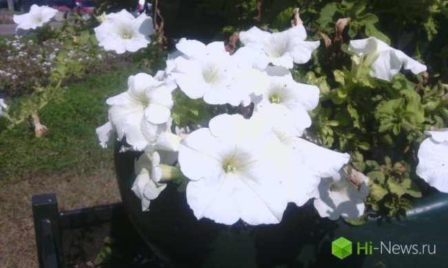 Senseit R390 20 Senseit R390 20