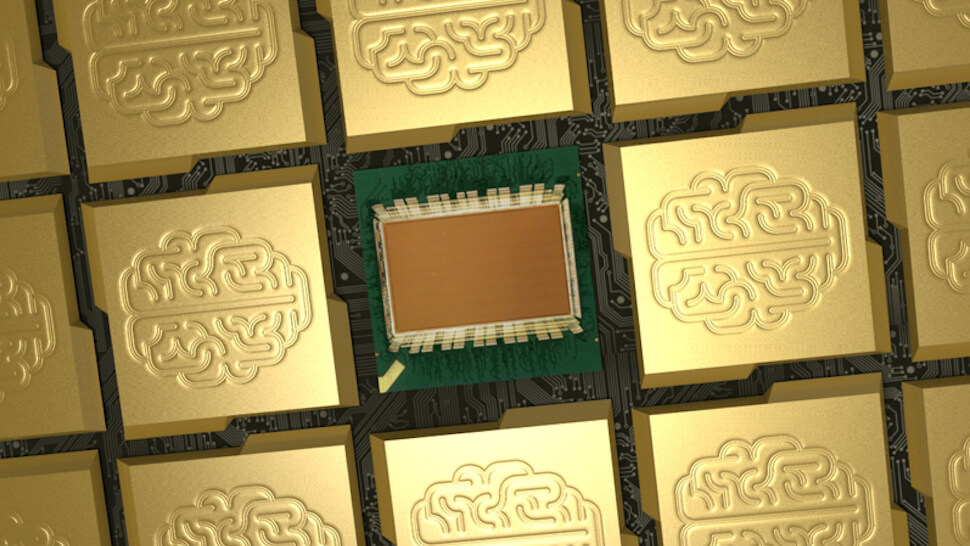 chip