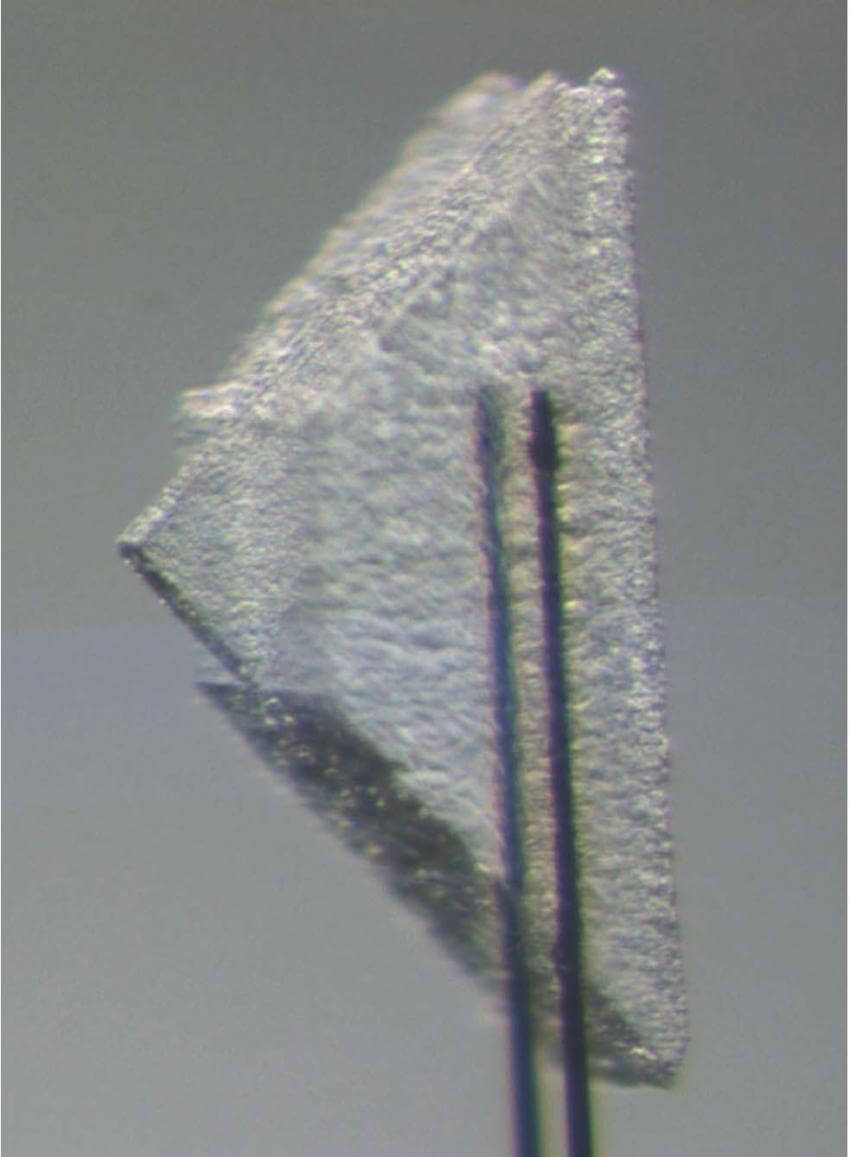 Частицы Частицы