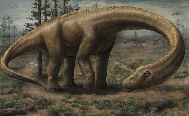 Дредноут: найдены останки самого большого динозавра. Фото.