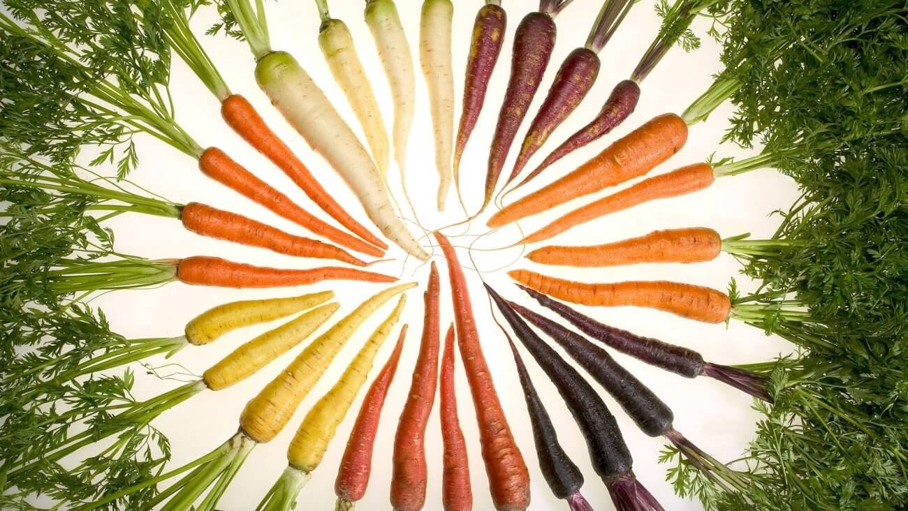 Морковь Морковь