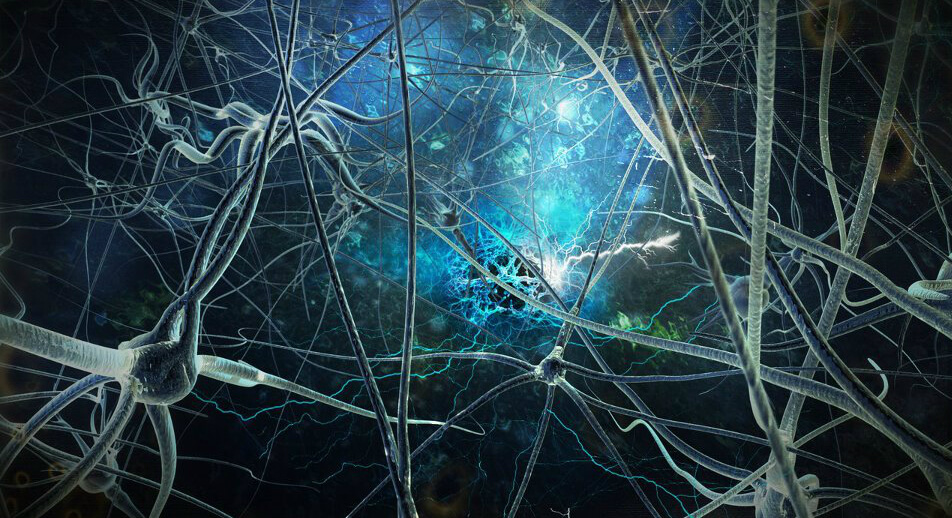 Мозговая активность