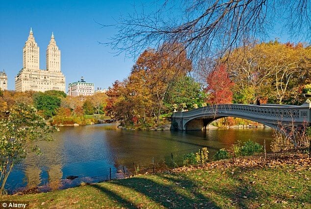 Central Park NY