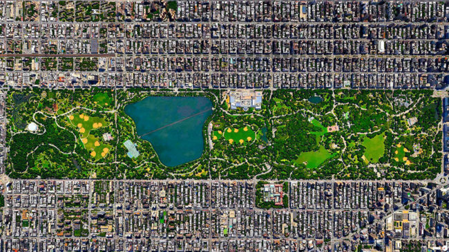 Парк Нью-Йорка заселили невиданные организмы. Фото.