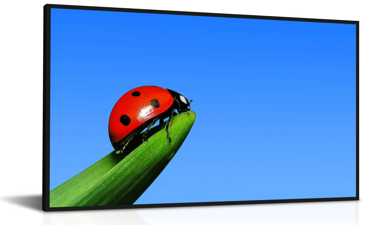 ЖК экран не требующий энергии