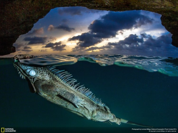 national_geographic_2014_photo_03 national_geographic_2014_photo_03