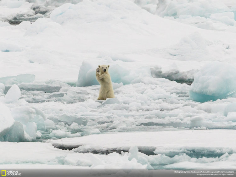 national_geographic_2014_photo_04 national_geographic_2014_photo_04