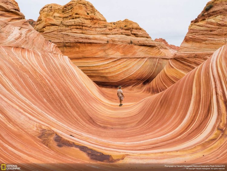 national_geographic_2014_photo_09 national_geographic_2014_photo_09