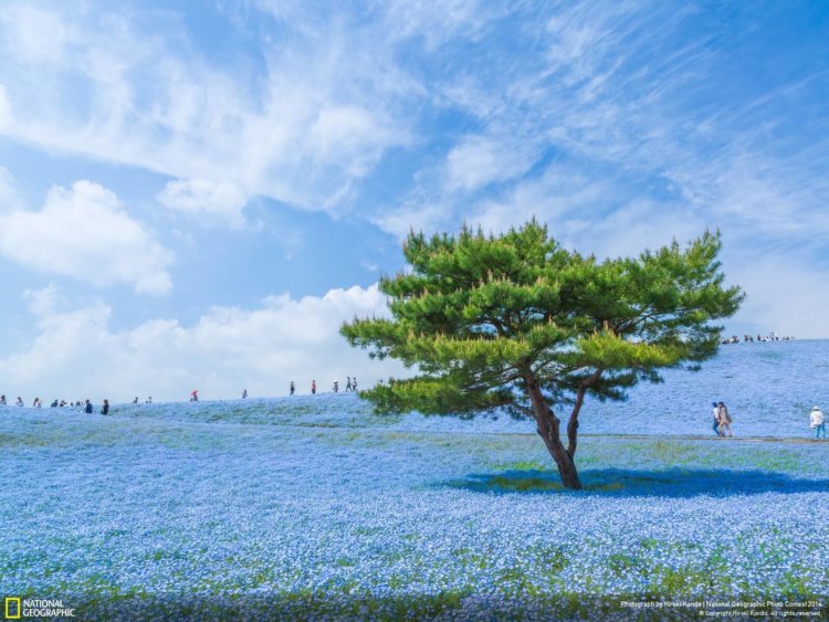 national_geographic_2014_photo_10 national_geographic_2014_photo_10
