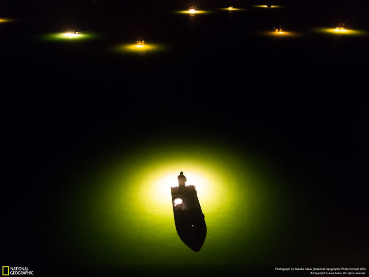 national_geographic_2014_photo_11 national_geographic_2014_photo_11