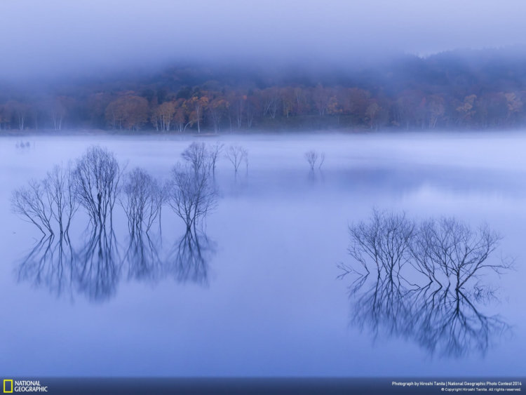 national_geographic_2014_photo_15 national_geographic_2014_photo_15