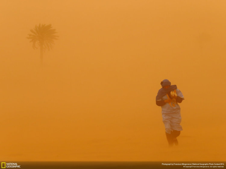 national_geographic_2014_photo_18 national_geographic_2014_photo_18