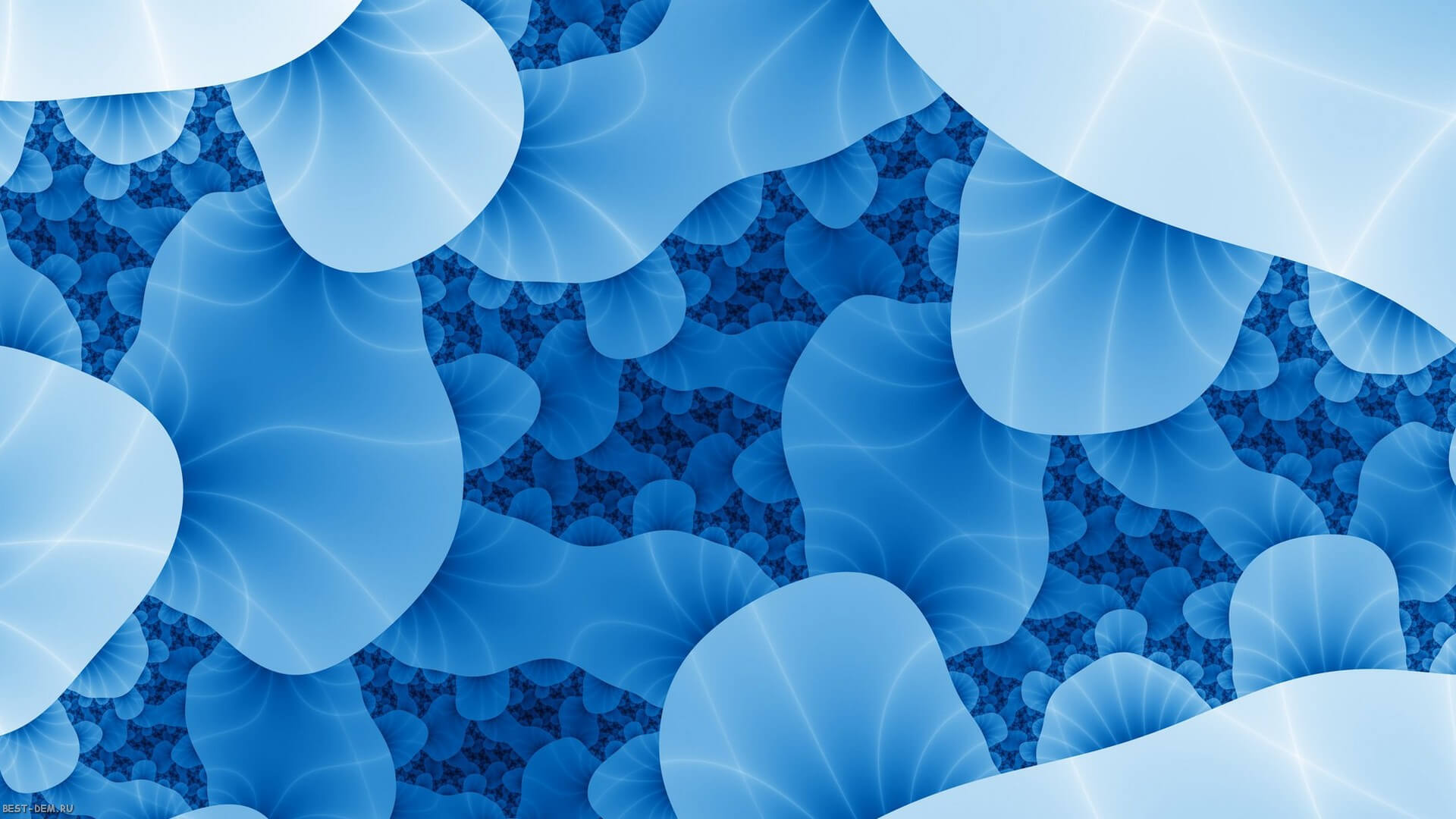 Бактерии Бактерии