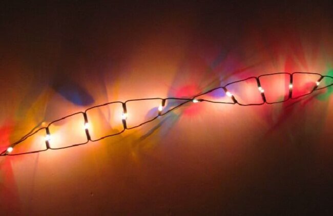 Насколько функциональна наша ДНК? Фото.