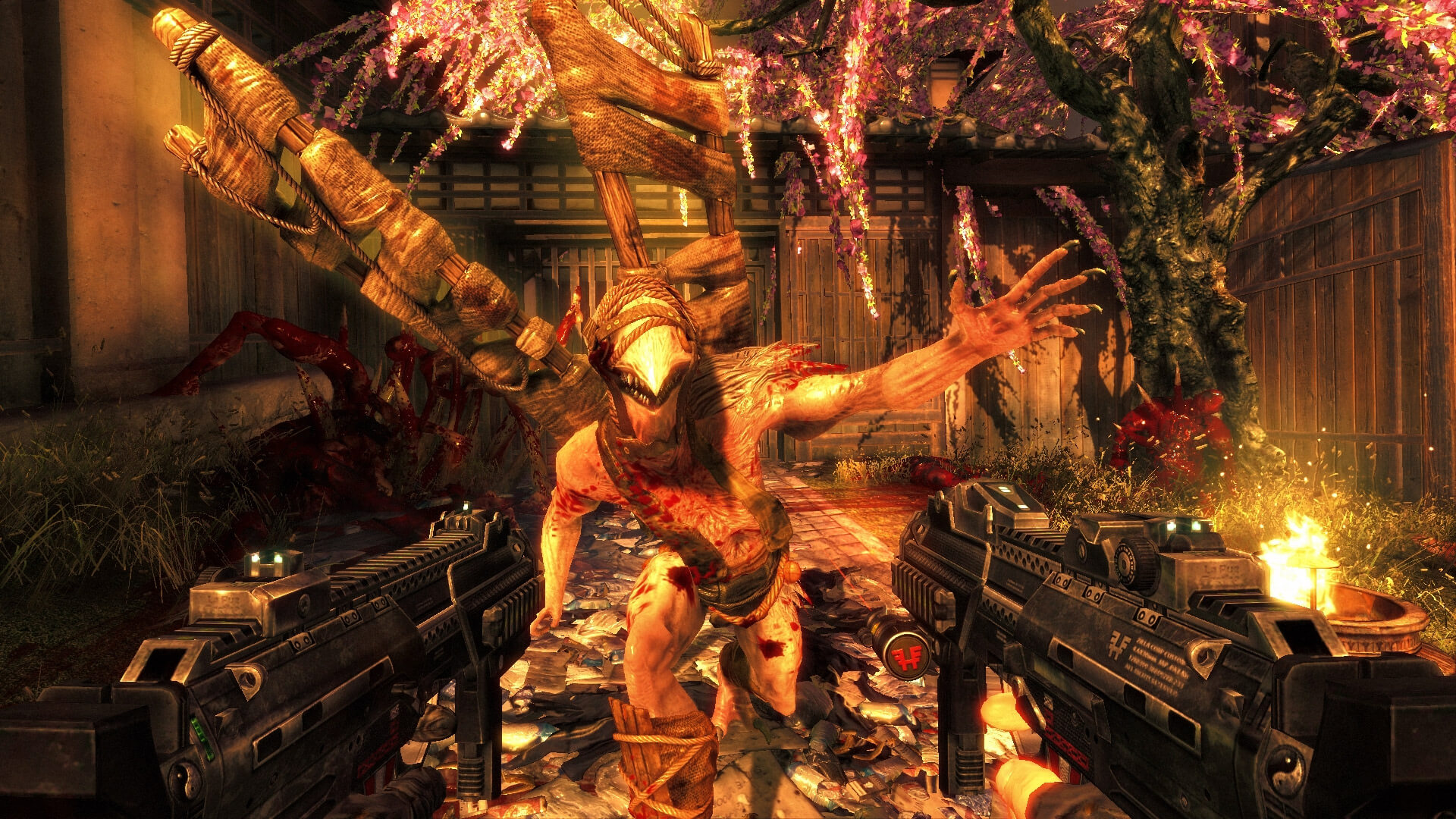 shadow warrior 07