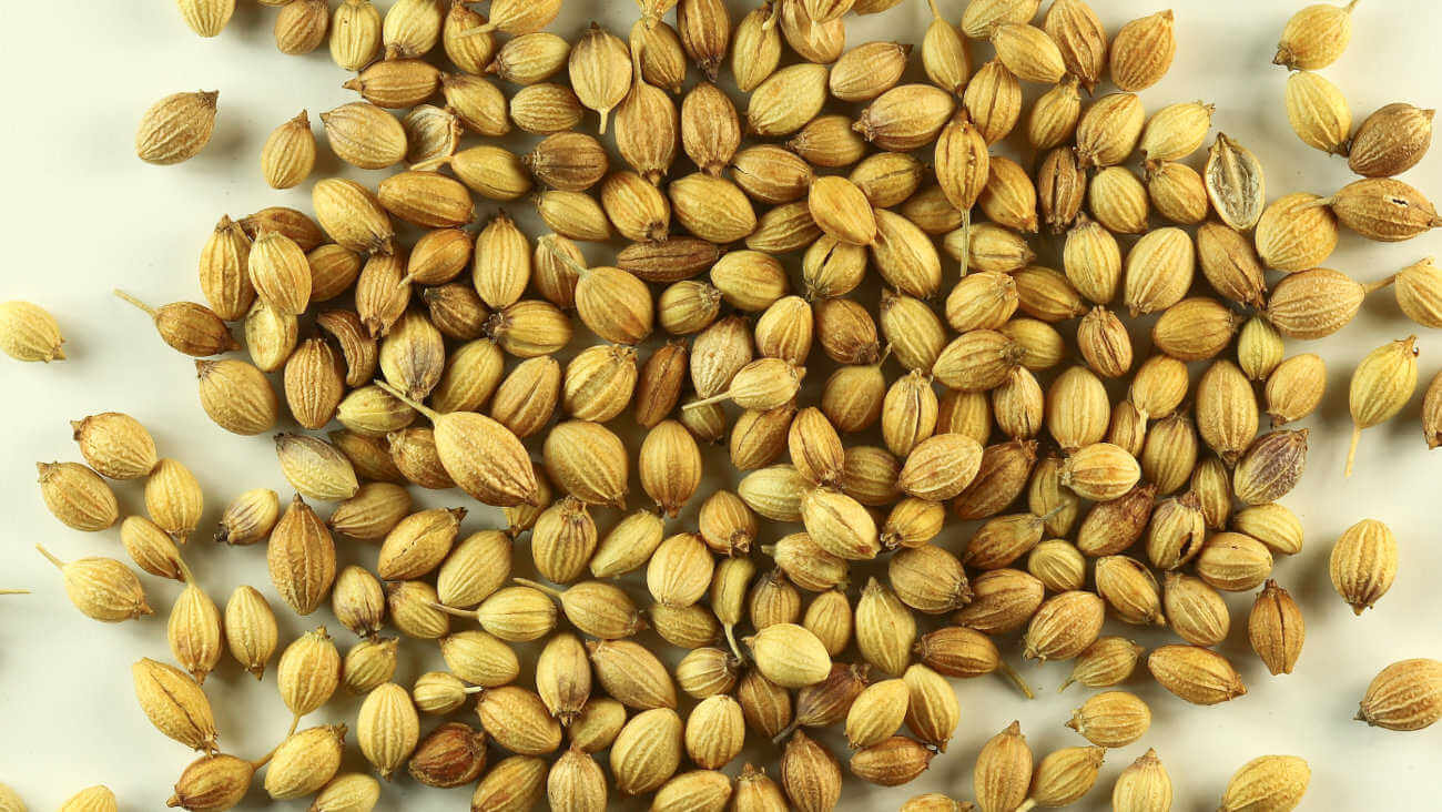 Семена кориандра