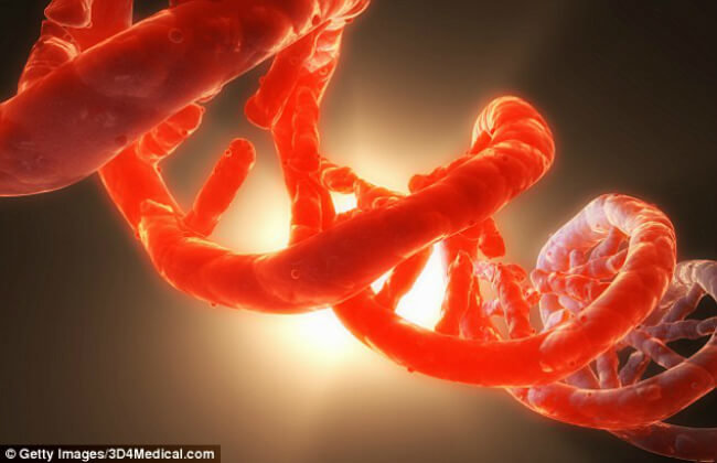 Жизнь без ДНК и РНК: Созданы искусственные ферменты, которые приведут к появлению новых организмов. Фото.