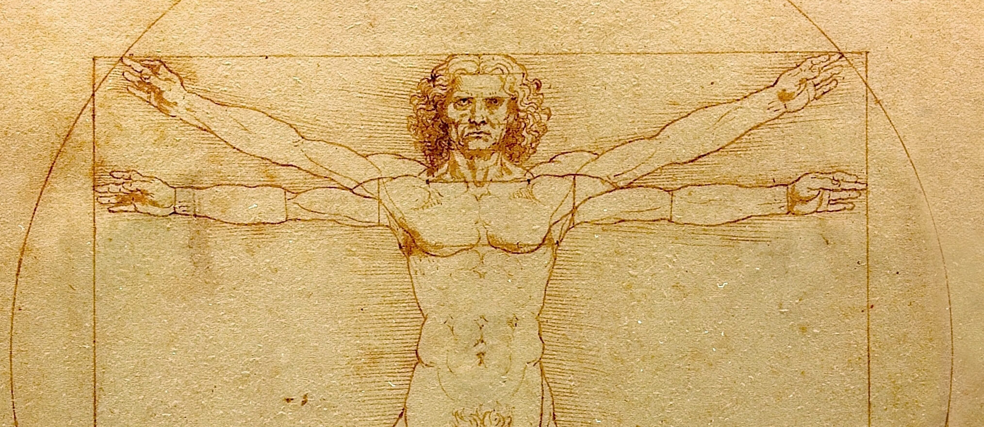 Витрувианский человек