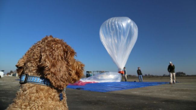 Project Loon: как презервативы помогли Google создать идеальный воздушный шар. Фото.