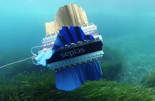 Швейцарские студенты создали робота-рыбу для подводной съемки. Фото.