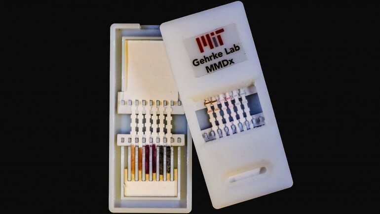 Разработан 10-минутный тест на выявление у человека вируса Эбола