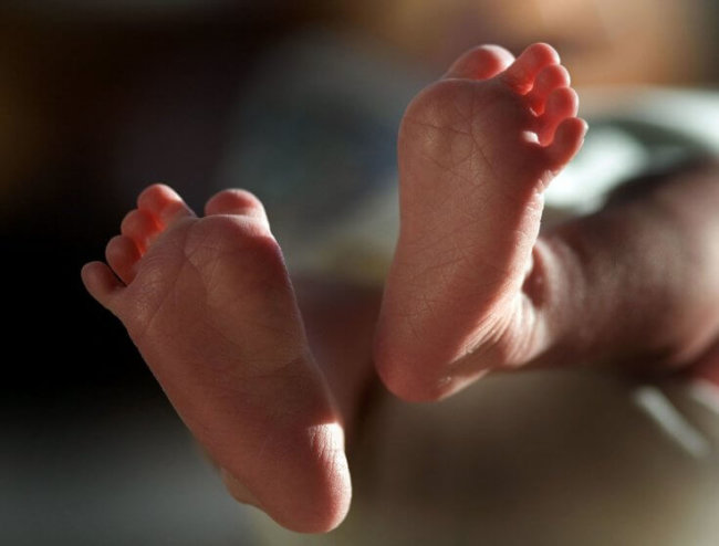 В Британии одобрили создание «пробирочных» детей от трех родителей. Фото.
