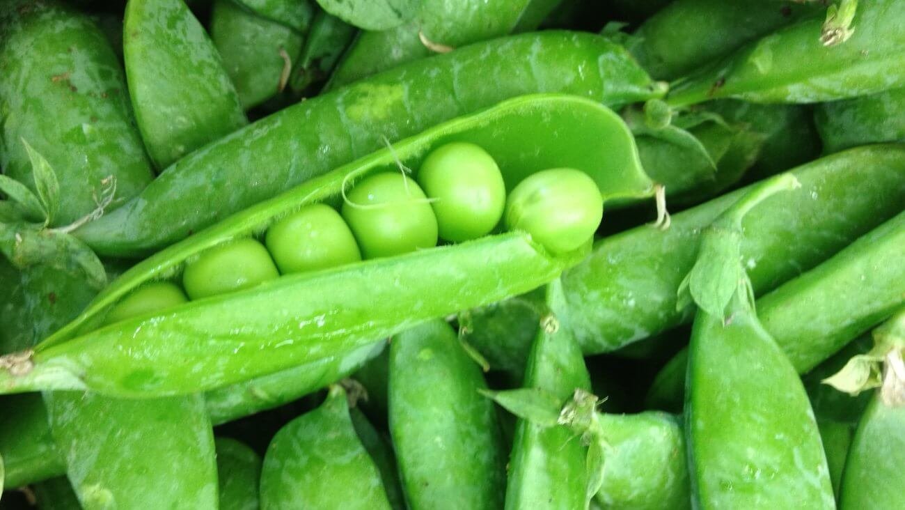 Зеленый горох