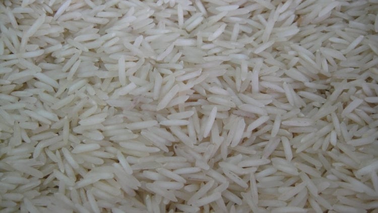 Польза белого риса. А вы знали, что растущий рис выглядит так? Фото.