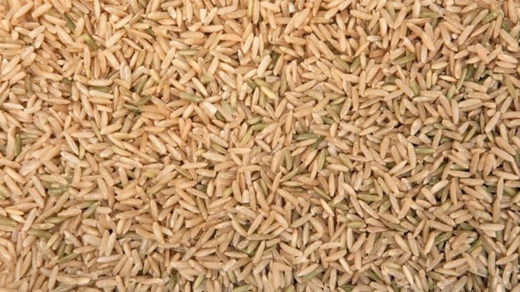 Почему коричневый рис полезнее белого. А вы знали, что растущий рис выглядит так? Фото.