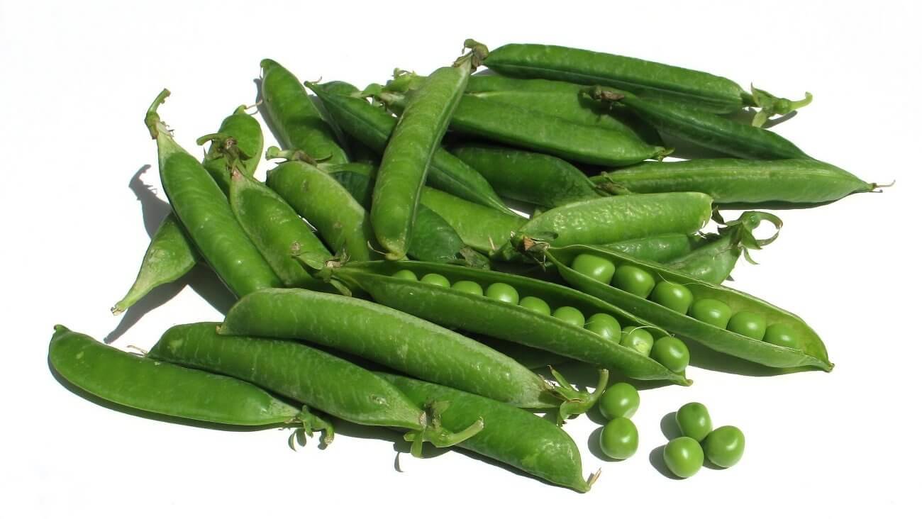 Зеленый горох