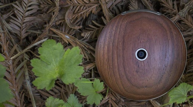 Runcible – круглый смартфон, разрушающий привычные стереотипы. Фото.