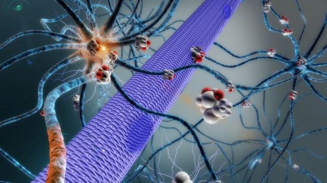 Лекарство от эпилепсии будут подавать прямо в мозг с помощью микронасоса