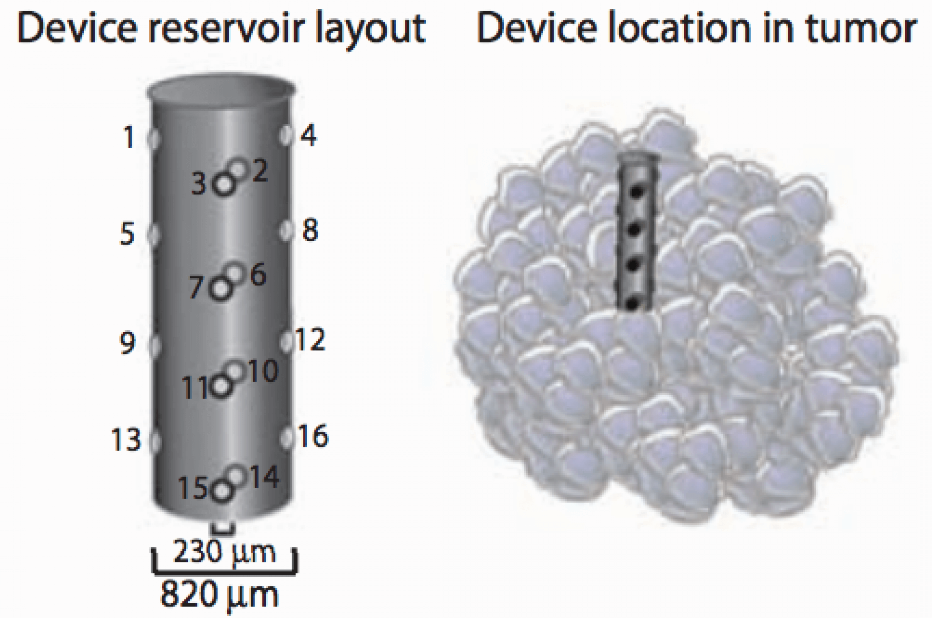 Учёные оптимизировали процесс лечения онкологических заболеваний Учёные оптимизировали процесс лечения онкологических заболеваний