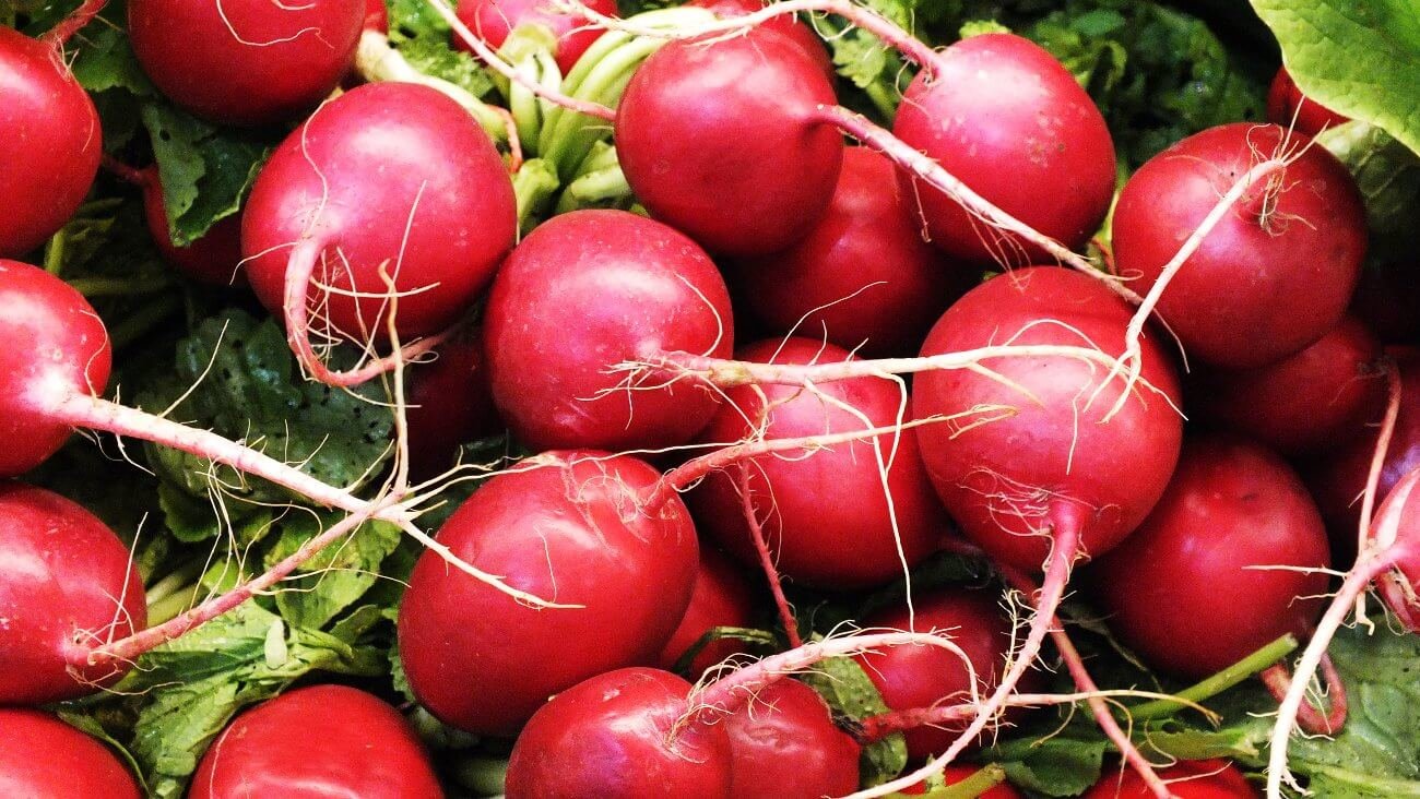 Редис