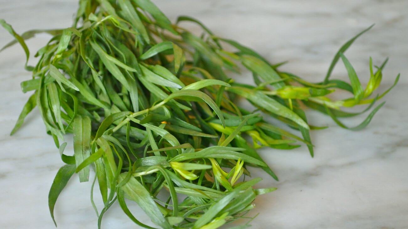 Тархун (эстрагон)