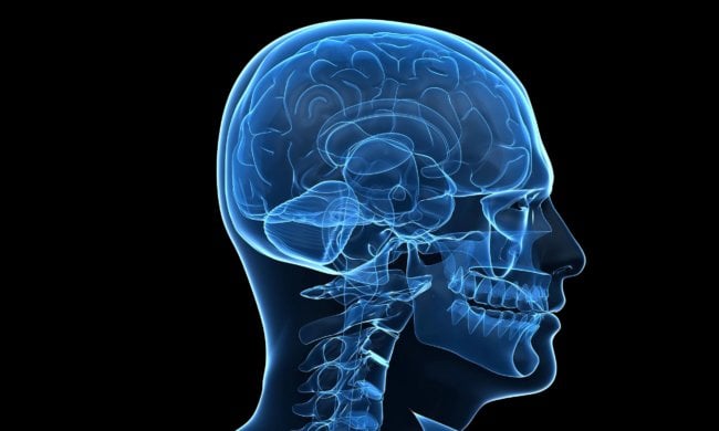 Ученые приблизились к созданию бионического мозга человека. Фото.