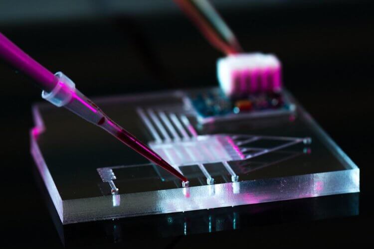 10 нанотехнологий с удивительным потенциалом. Не только в процессорах используются нанотехнологии. Фото.