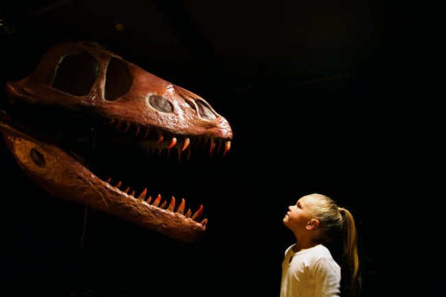 Вы когда-нибудь задумывались о динозаврах всерьез? Фото.