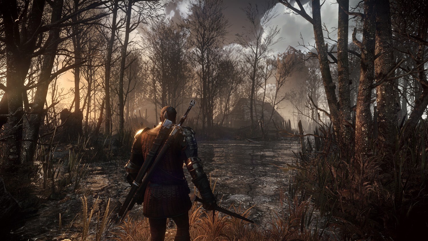 Witcher 3 Wild Hunt 37