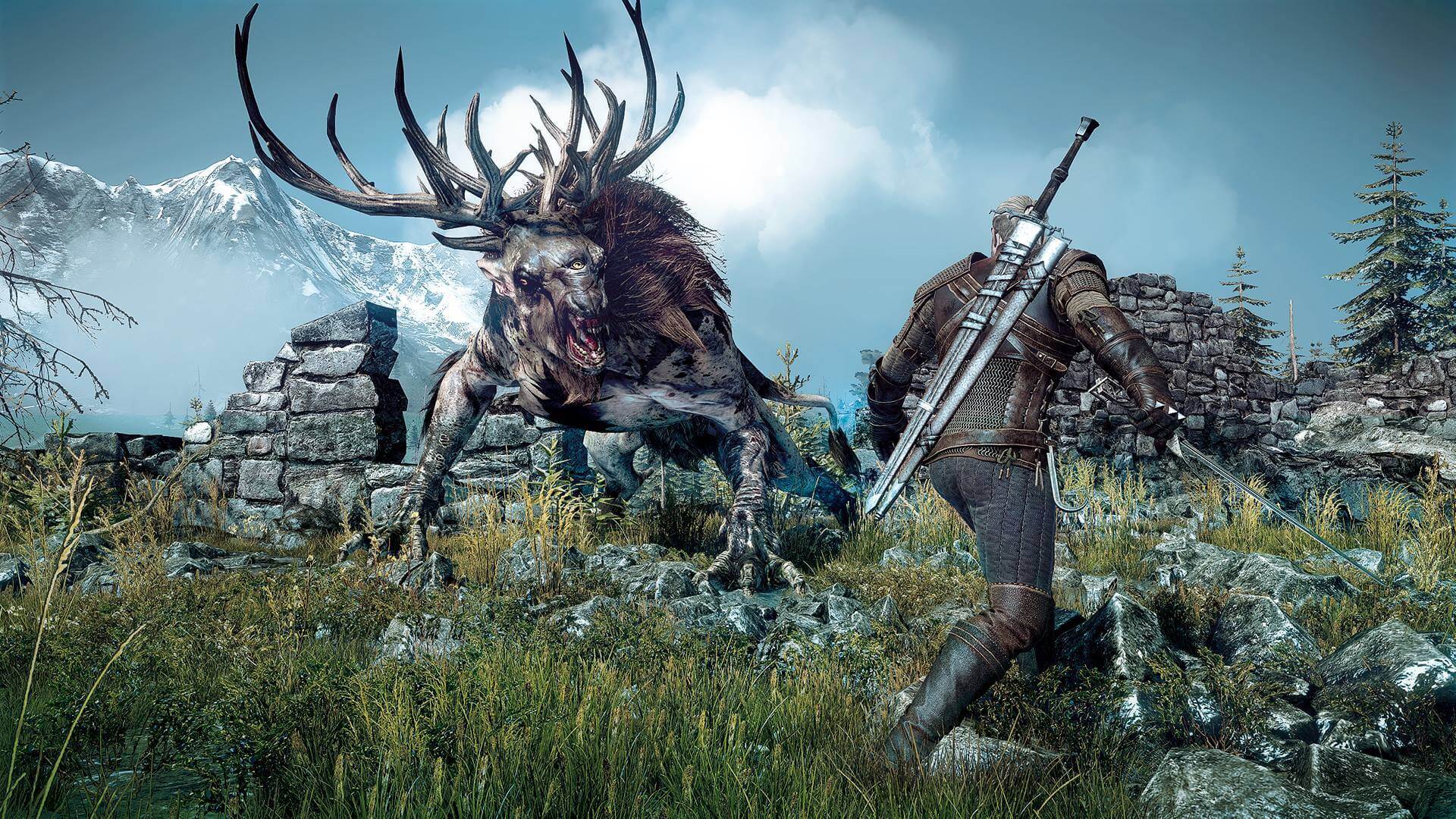 Witcher 3 Wild Hunt 38