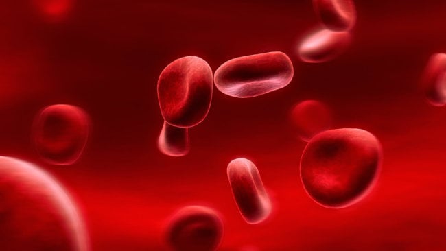 Великобритания начнёт клинические испытания искусственной крови уже в 2017 году. Фото.