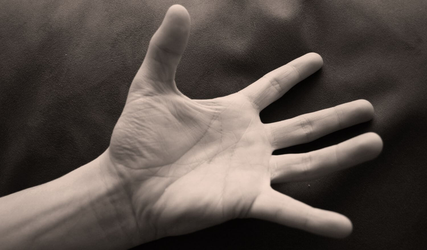 Сколько микроорганизмов живут на наших руках