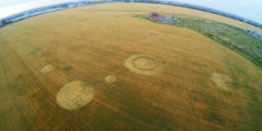 На поле в Тольятти появились очередные таинственные круги. Фото.
