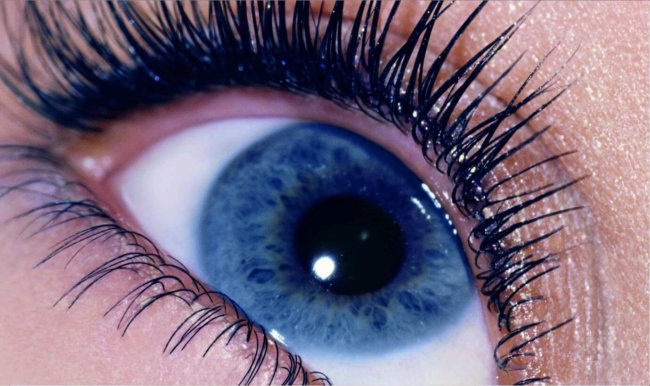 Учёные обнаружили взаимосвязь между цветом глаз и склонностью к алкоголизму. Фото.