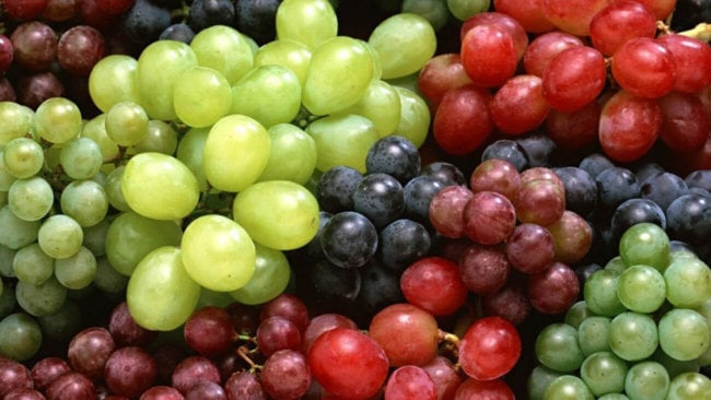 #биология | Виноград богат сосудорасширяющим ресвератролом. Фото.